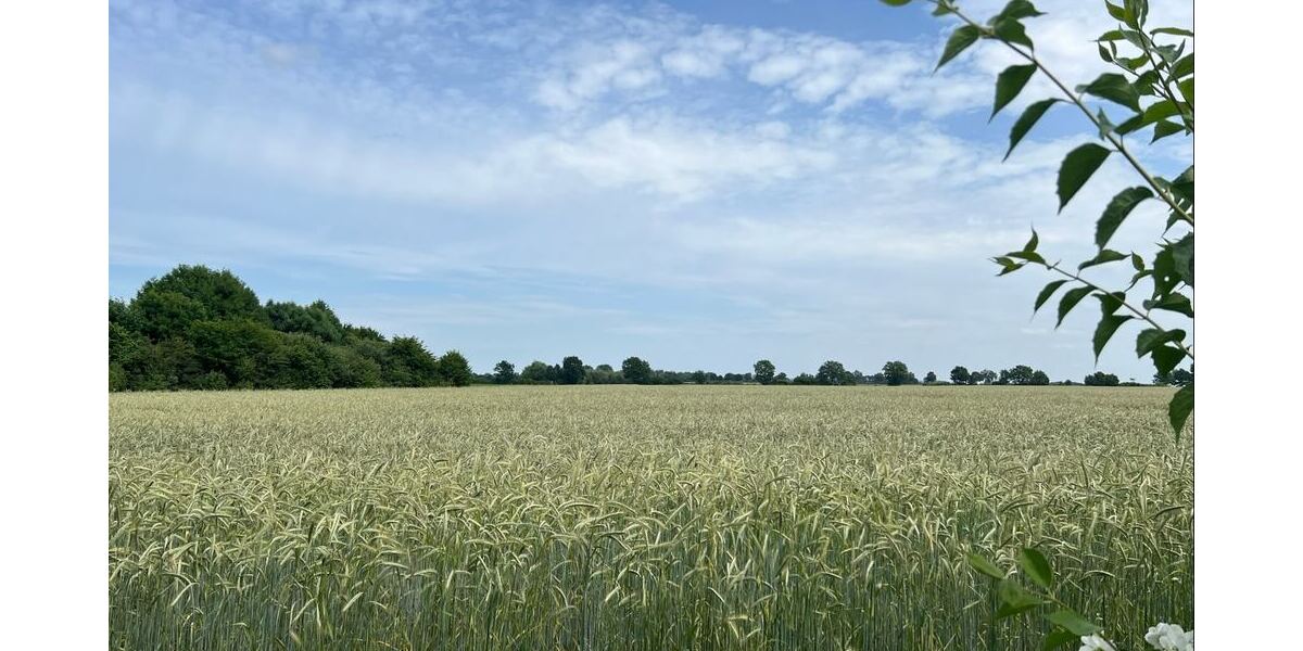 Ortsrandlage mit Blick über Felder