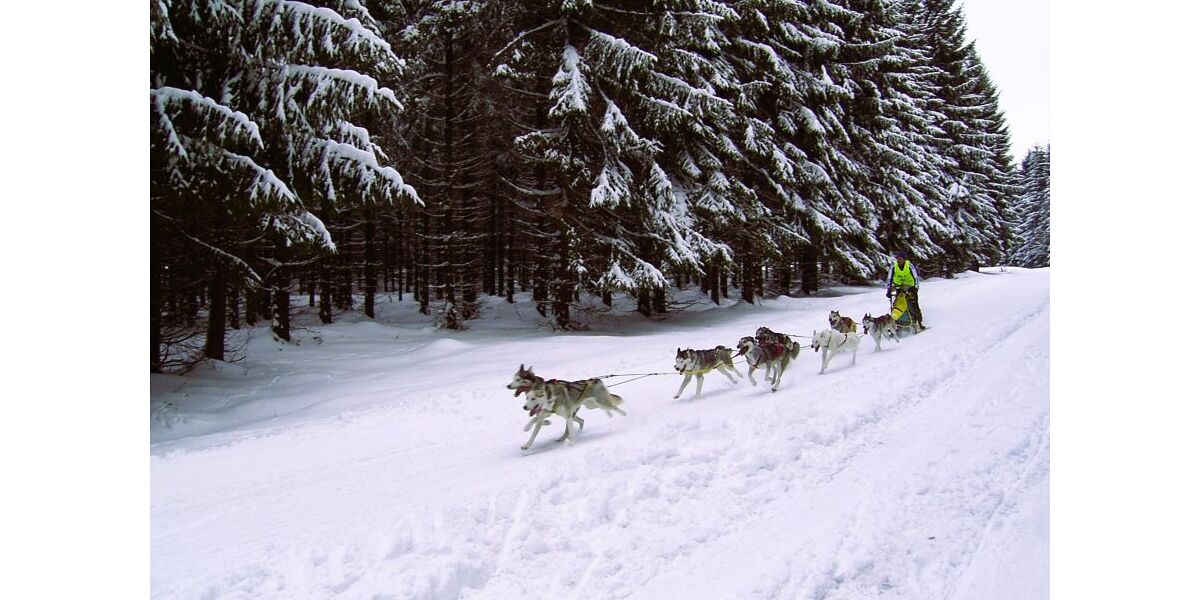 Umgebung_Winter