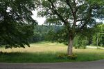 Provisionsfrei* Sonderimmobilie in Alleinlage im Thüringer Wald - Einfamilienhaus Oberhof | Angebot:26869383