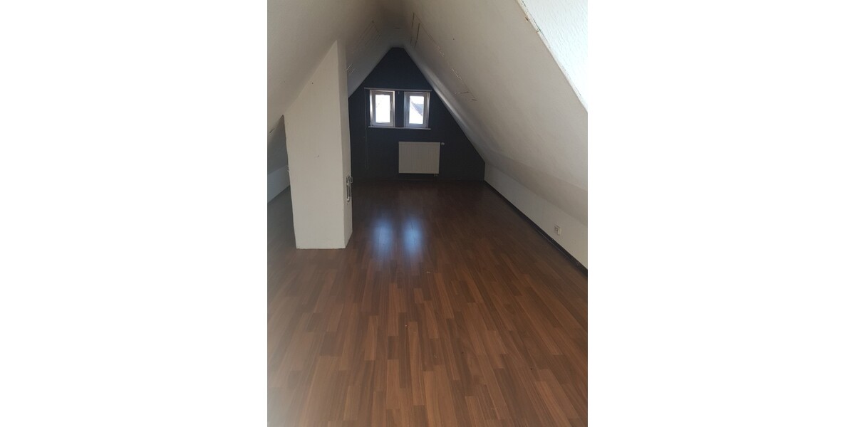 Dachspitz 1