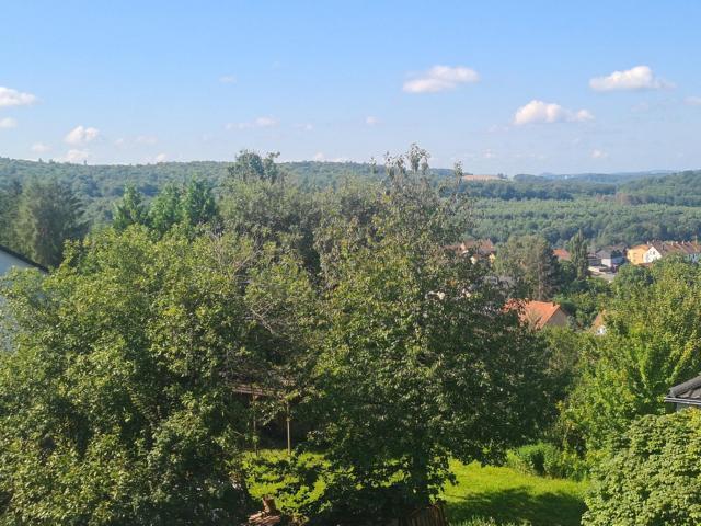 Fernblick
