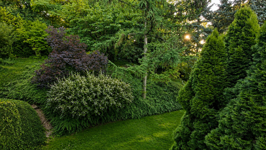 Der Garten rechts mit Baumöglichkeit