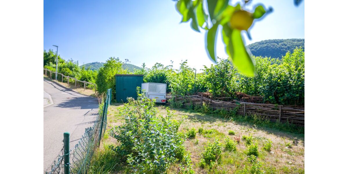 020 Garten