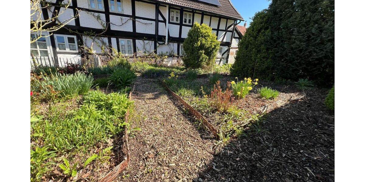 rückwärtiger Garten