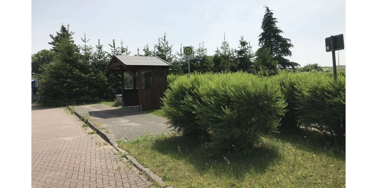 IMG_0316
