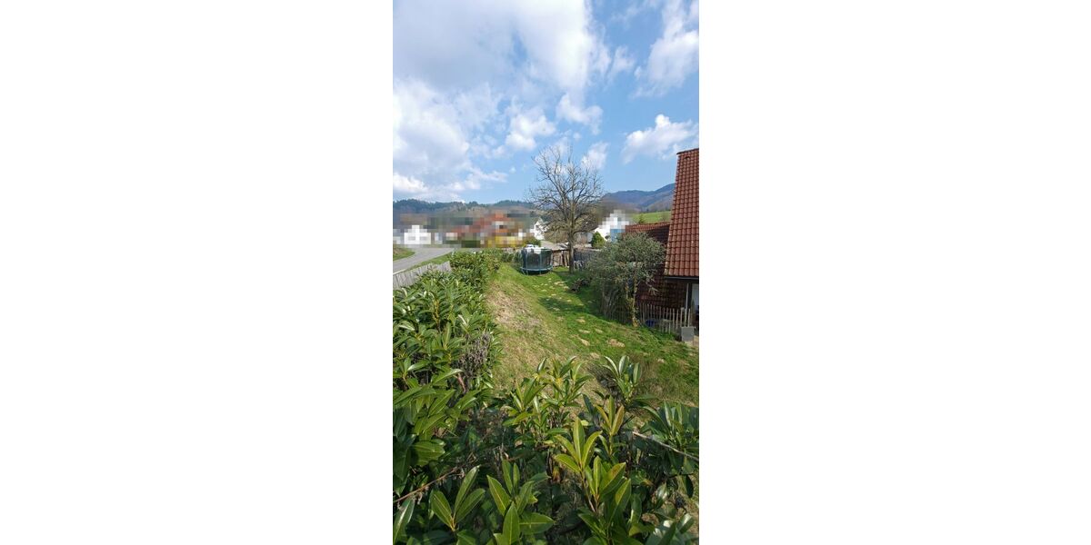 Garten_1