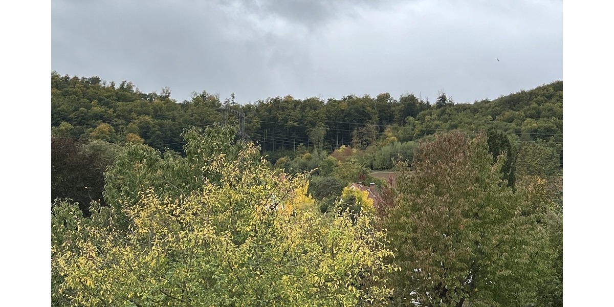 Aussicht vom Balkon
