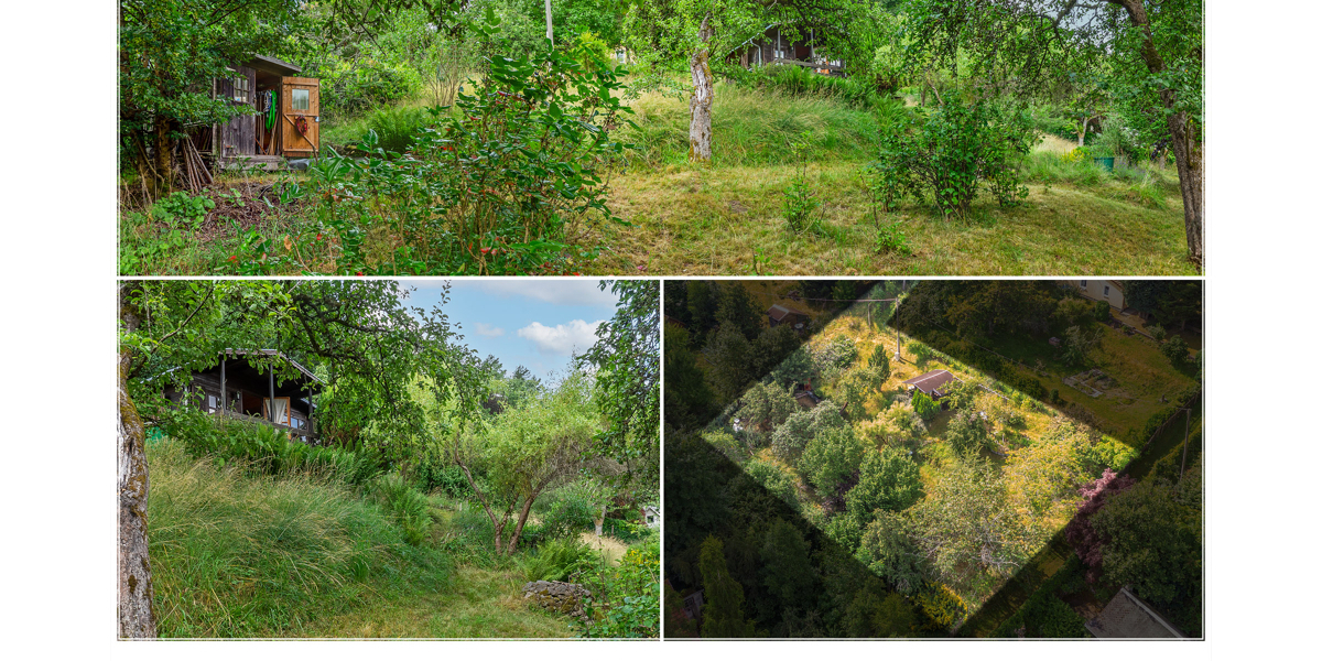 Gartenimpressionen