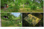 Ihr eigenes Bio-Paradies in Suhl: Pestizidfreier Naturgarten mit Holzhaus, Strom & Ganzjahreswasser! - Grundstück Suhl | Angebot:26745355