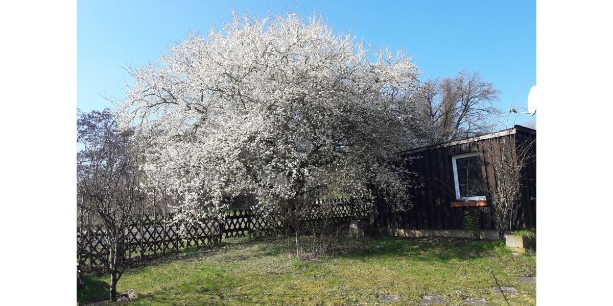 08_außen