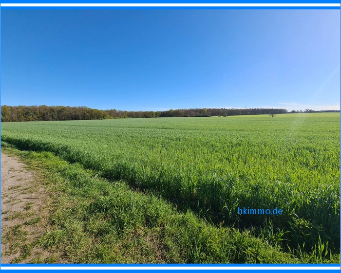 3,3 ha Ackerland bei Chörau und Dessau Mosigkau - Grundstück Chörau Chörau | Angebot:27026089