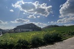 Willkommen in Detfurth - Grundstück Bad Salzdetfurth Detfurth | Angebot:26534017