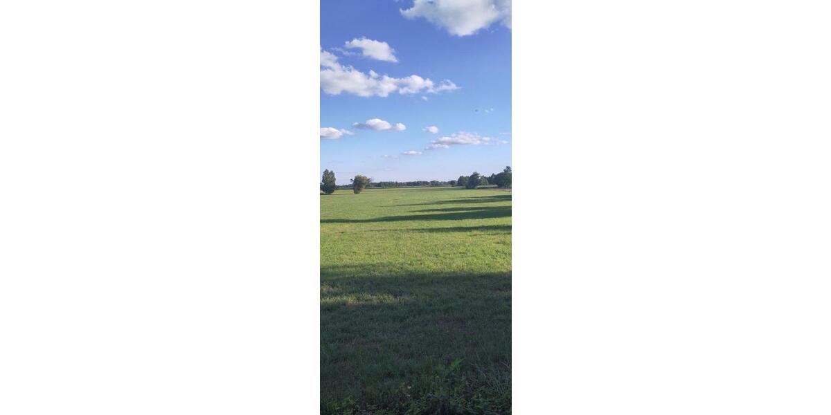 Ausblick