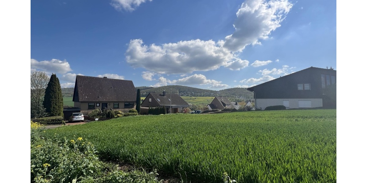 Blick vom Feldweg aufs Grundstück