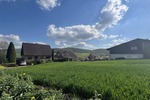 Willkommen in Detfurth - Grundstück Bad Salzdetfurth Detfurth | Angebot:26534017
