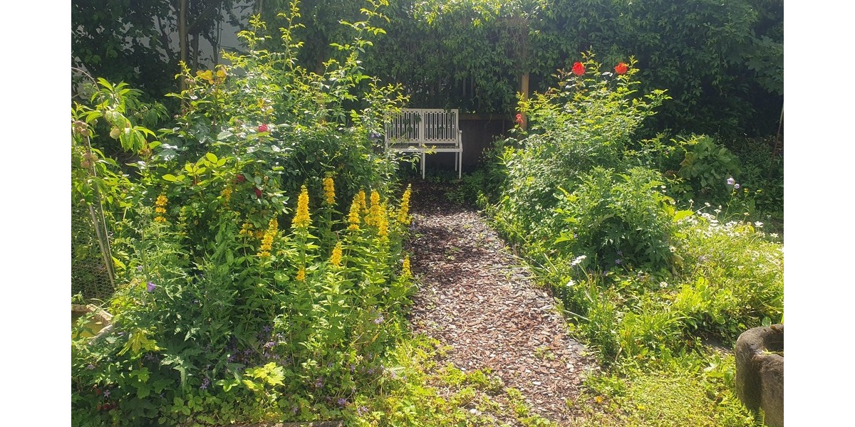 weitere Teilansicht Garten