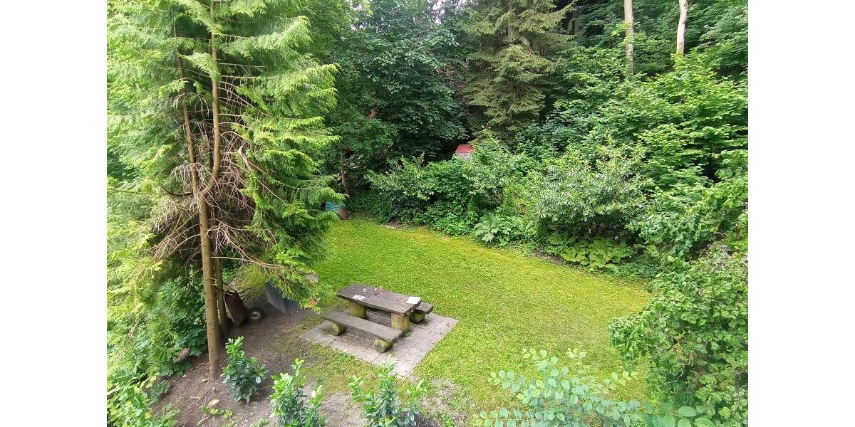 Blick Garten