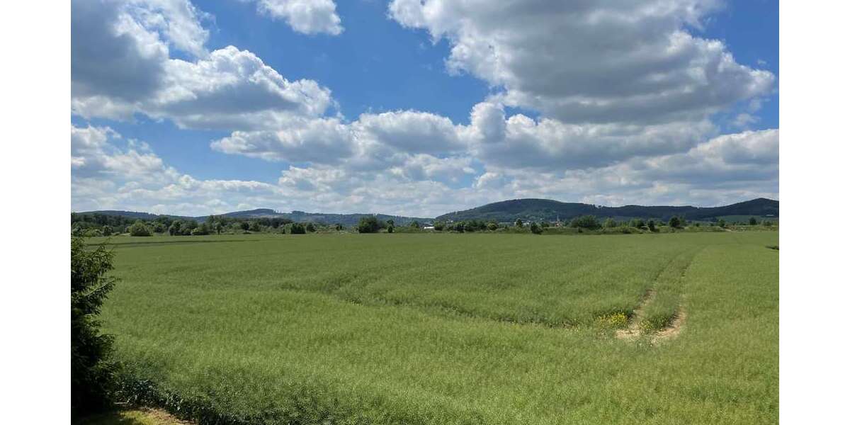 Weitblick 03