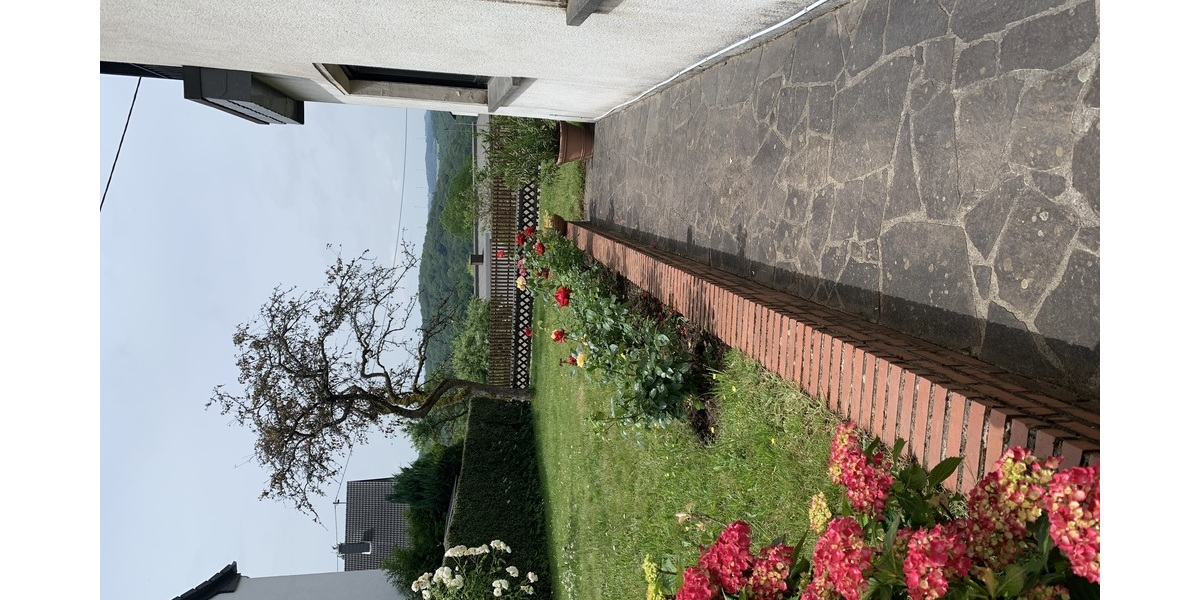 Bild 16_Außenanlage