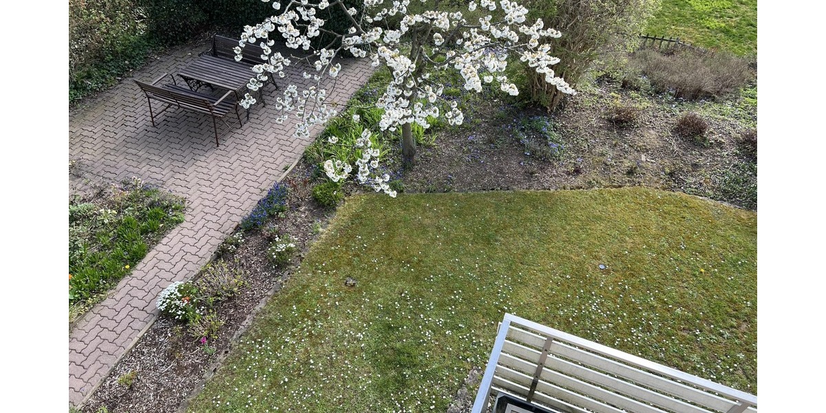 Garten / Terrasse