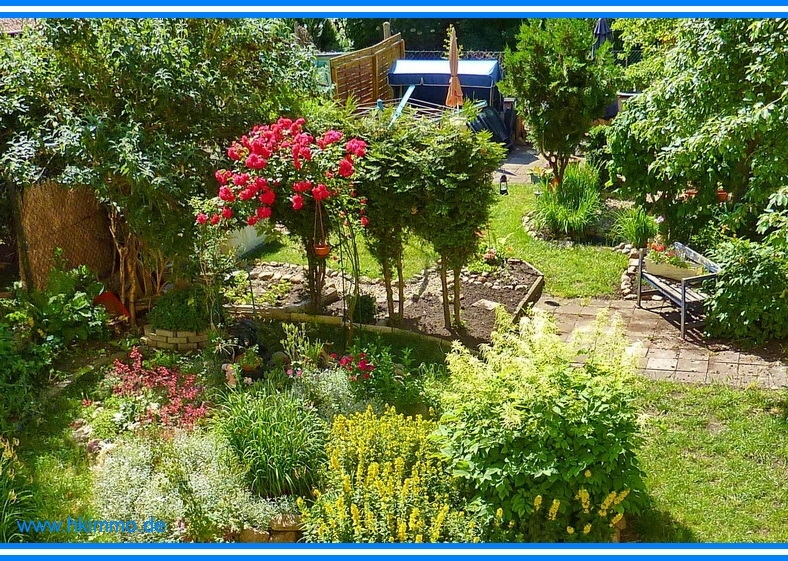Garten hinter dem Haus