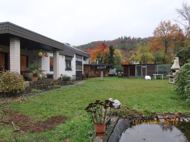 Rückansicht/Garten