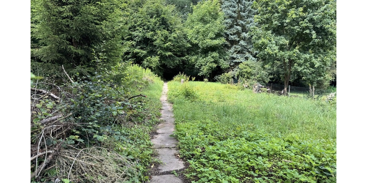 Naturbelassenes Grundstück