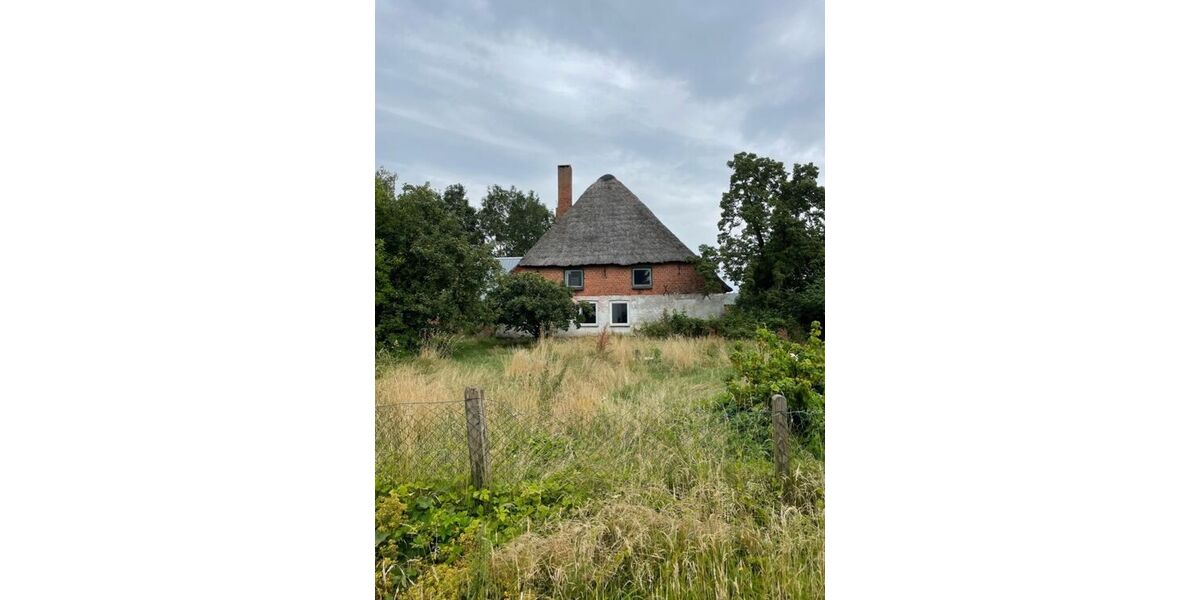 Blick über das großzügige Grundstück zum Wohnhaus