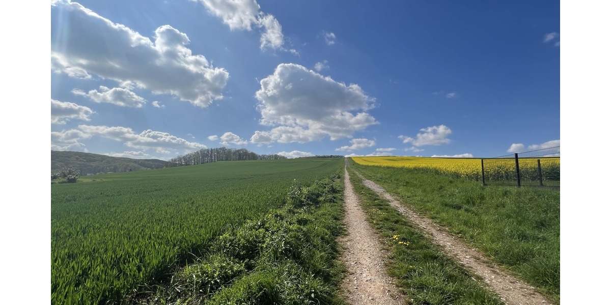 Blick ins Feld vom Grundstück
