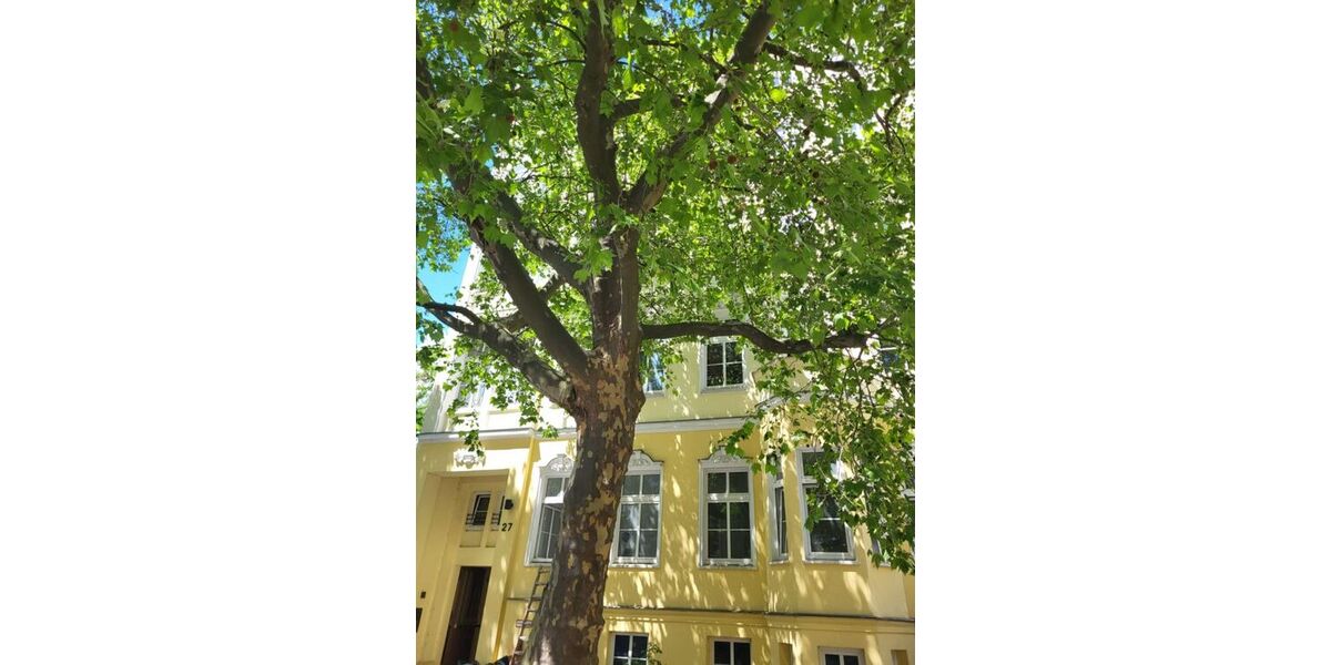 Provisionsfrei* Von Privat - Traumhafte Altbauwohnung 4-Zi auf 116m2 Lift im Herzen v. Berlin-Mitte - Etagenwohnung Berlin Mitte | Angebot:27112088