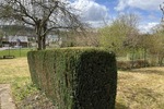 Großzügig und durchdacht - Einfamilienhaus Alfeld Hörsum | Angebot:26421597