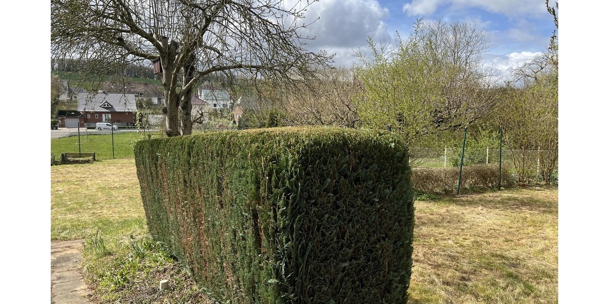 Grundstück