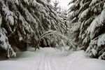 Provisionsfrei* Idyllisches kleines Hotel im Thüringer Wald sucht neuen Eigentümer - von Privat - kann sofort weiterbetrieben werden - Gewerbeobjekt Suhl Schmiedefeld am Rennsteig | Angebot:25642404