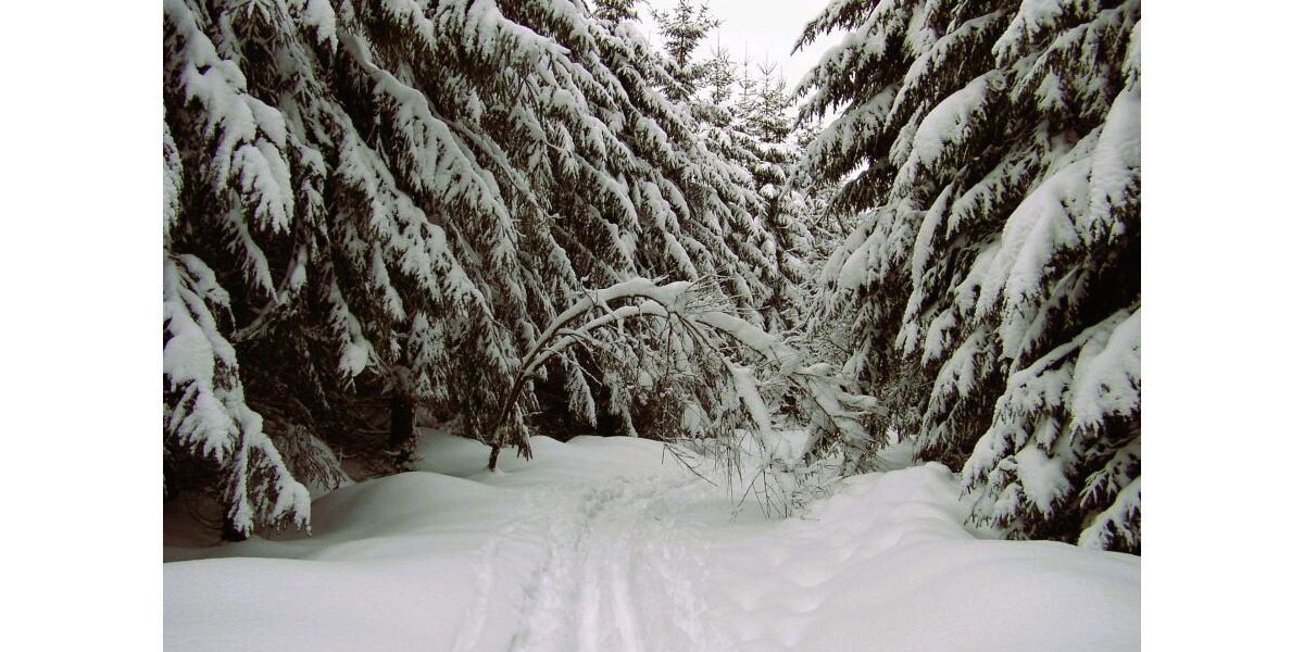 Winter-