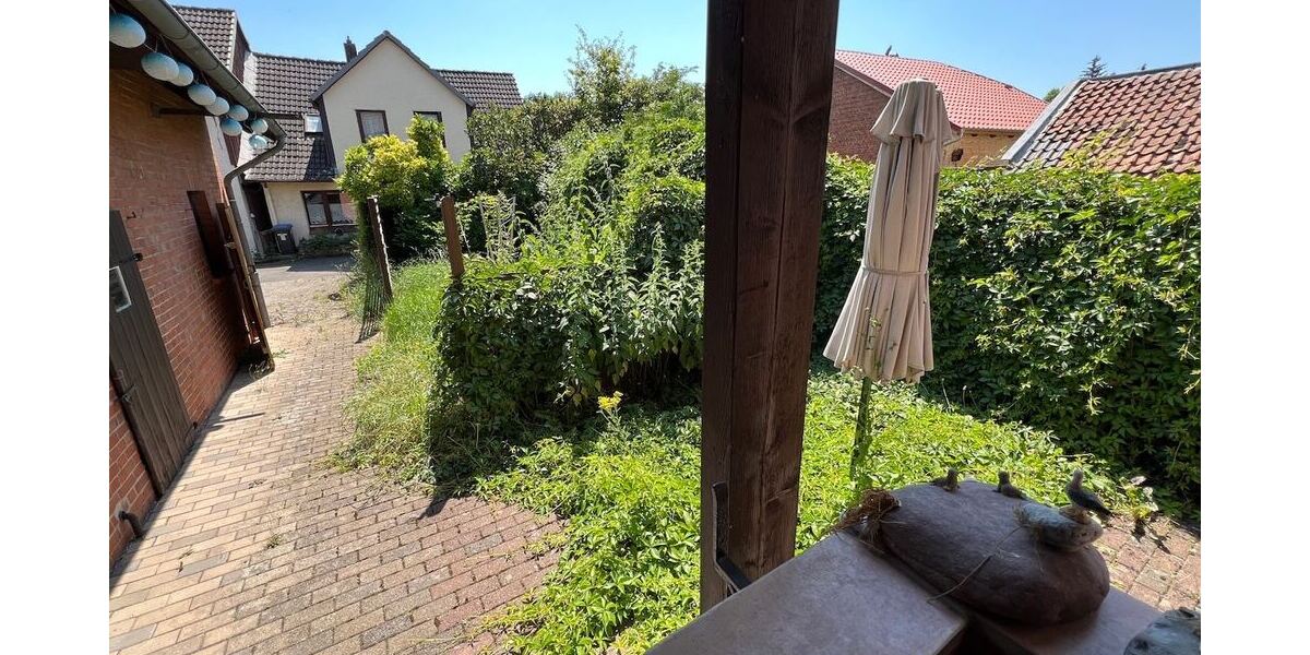 Blick in den Garten
